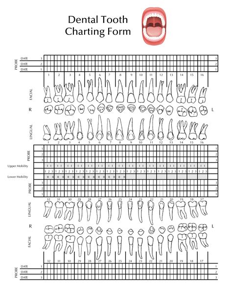 dental tooth chart printable|printable dental tooth charting form.